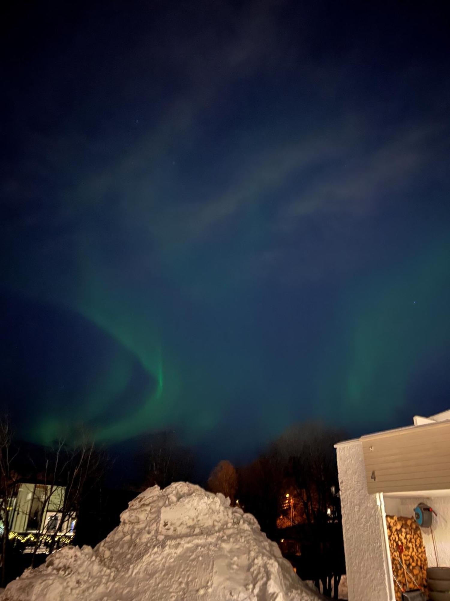 Leilighet Cocy Sentral With Free Parking 42 Sqm Tromsø